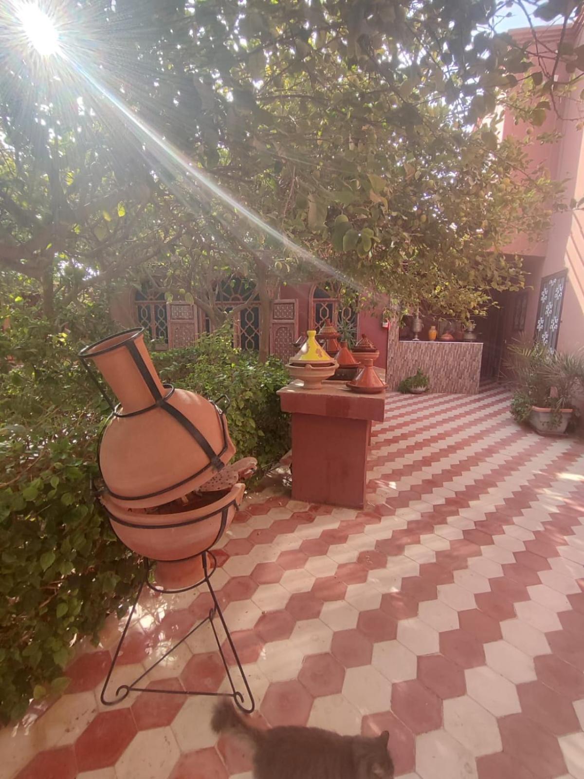 Riad Les Jardins Mabrouk Ταρουντάντ Εξωτερικό φωτογραφία