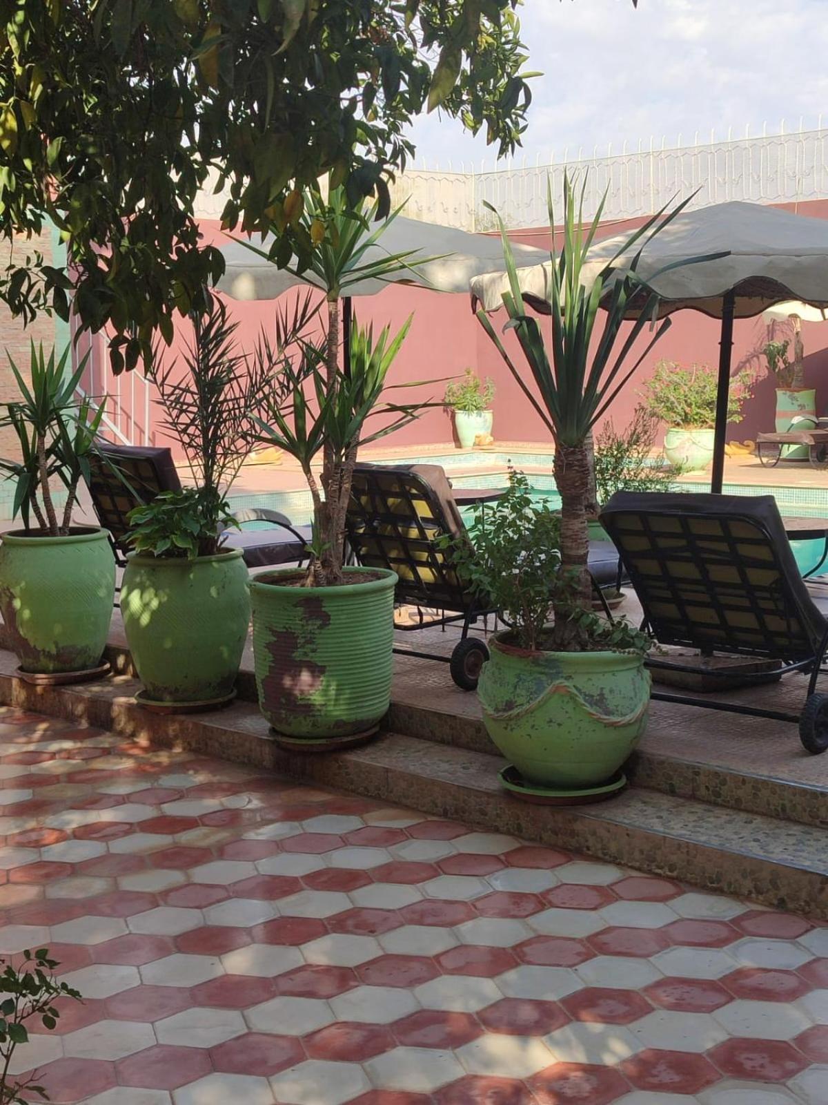 Riad Les Jardins Mabrouk Ταρουντάντ Εξωτερικό φωτογραφία