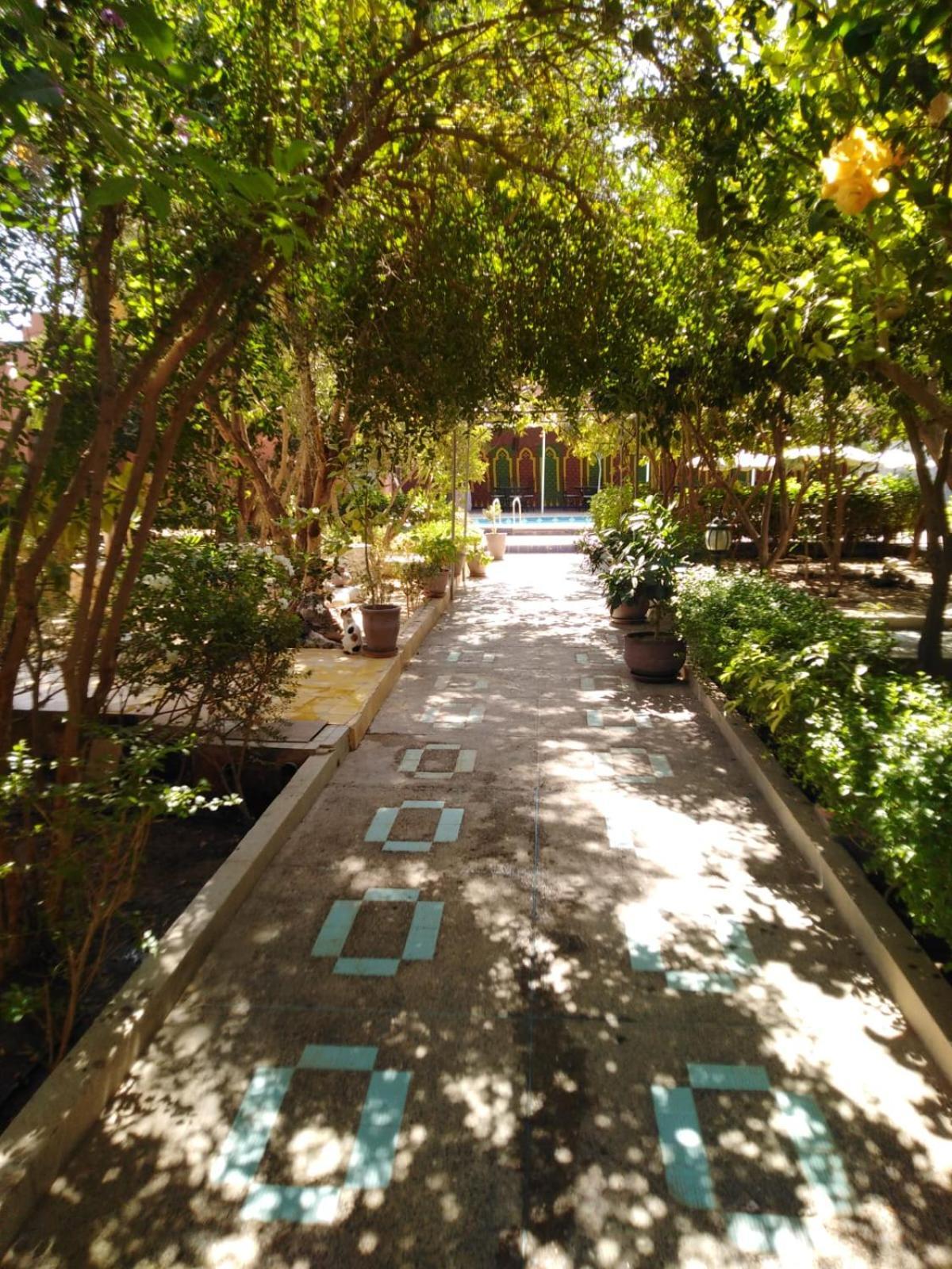 Riad Les Jardins Mabrouk Ταρουντάντ Εξωτερικό φωτογραφία