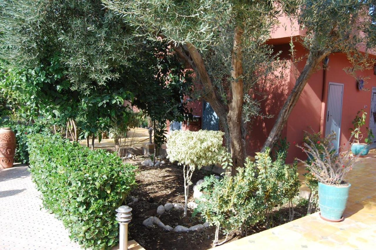 Riad Les Jardins Mabrouk Ταρουντάντ Εξωτερικό φωτογραφία